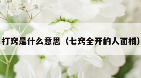 打窍是什么意思（七窍全开的人面相）