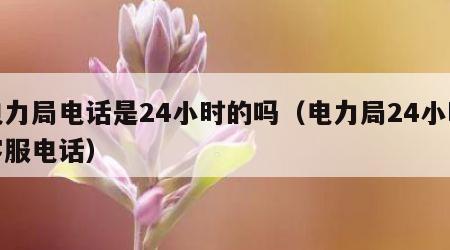 电力局电话是24小时的吗（电力局24小时客服电话）