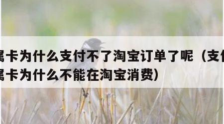 亲属卡为什么支付不了淘宝订单了呢（支付宝亲属卡为什么不能在淘宝消费）