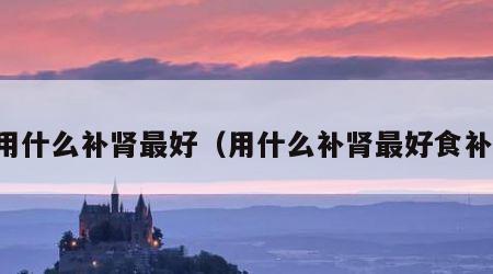 用什么补肾最好（用什么补肾最好食补）