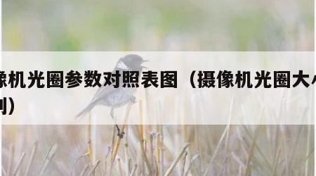 摄像机光圈参数对照表图（摄像机光圈大小的区别）