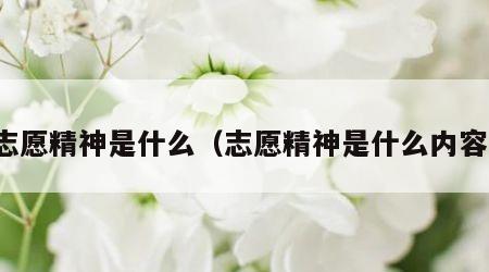 志愿精神是什么（志愿精神是什么内容）