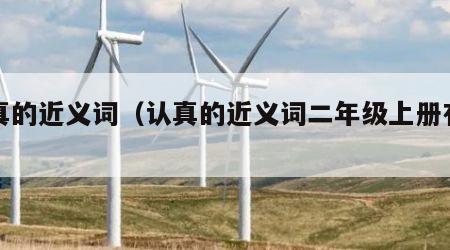 认真的近义词（认真的近义词二年级上册有哪些）