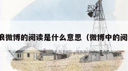 新浪微博的阅读是什么意思（微博中的阅读）