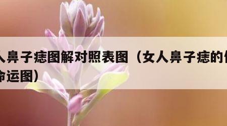 女人鼻子痣图解对照表图（女人鼻子痣的位置与命运图）