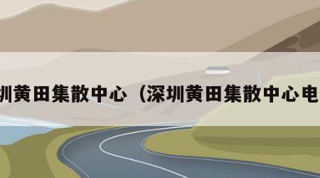 深圳黄田集散中心（深圳黄田集散中心电话）