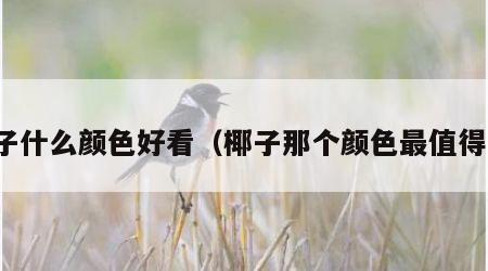 椰子什么颜色好看（椰子那个颜色最值得买）