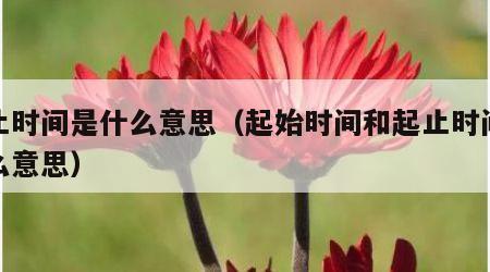 起止时间是什么意思（起始时间和起止时间是什么意思）