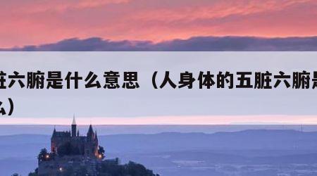五脏六腑是什么意思（人身体的五脏六腑是指什么）