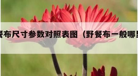 野餐布尺寸参数对照表图（野餐布一般哪里有卖）