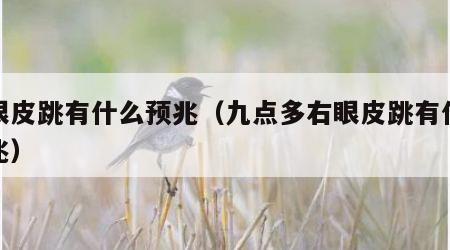 右眼皮跳有什么预兆（九点多右眼皮跳有什么预兆）