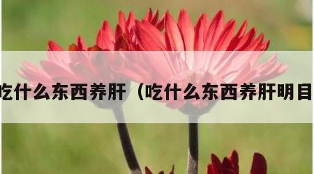 吃什么东西养肝（吃什么东西养肝明目）