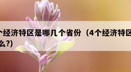 4个经济特区是哪几个省份（4个经济特区是什么?）