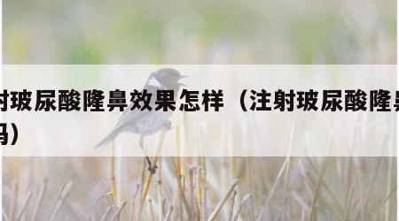 注射玻尿酸隆鼻效果怎样（注射玻尿酸隆鼻危险吗）