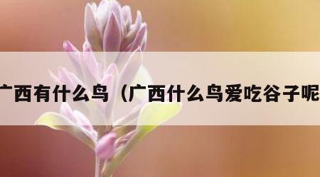 广西有什么鸟（广西什么鸟爱吃谷子呢）