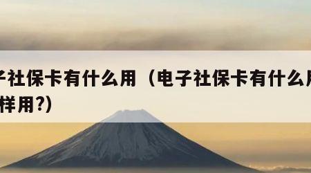电子社保卡有什么用（电子社保卡有什么用处?怎样用?）