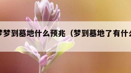 做梦梦到墓地什么预兆（梦到墓地了有什么兆头）