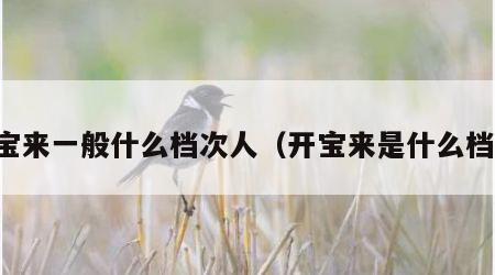 开宝来一般什么档次人（开宝来是什么档次）