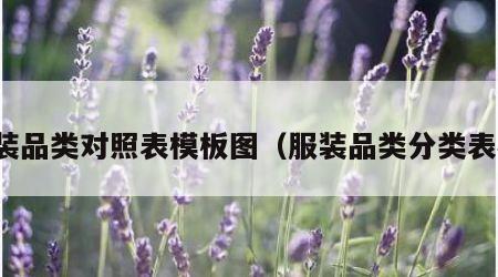 服装品类对照表模板图（服装品类分类表格）