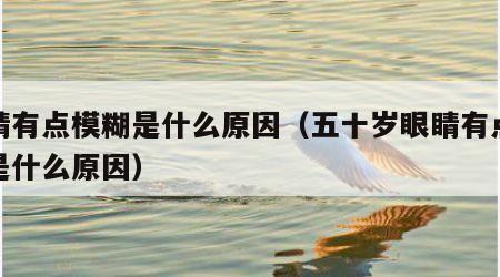 眼睛有点模糊是什么原因（五十岁眼睛有点模糊是什么原因）