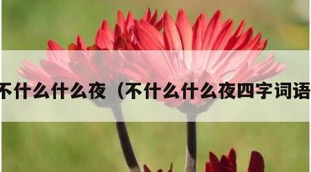 不什么什么夜（不什么什么夜四字词语）
