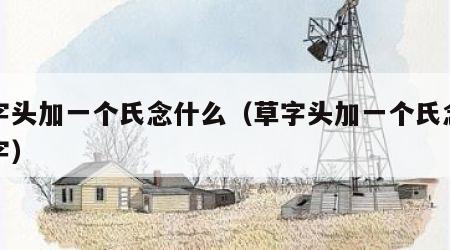 草字头加一个氏念什么（草字头加一个氏念什么字）