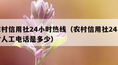 农村信用社24小时热线（农村信用社24小时人工电话是多少）