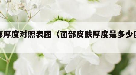 面部厚度对照表图（面部皮肤厚度是多少厘米）