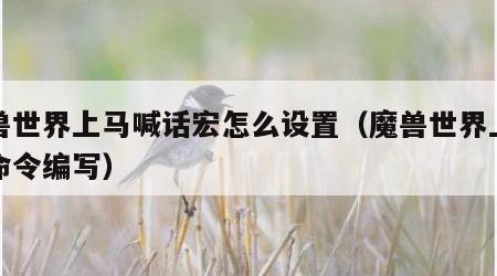 魔兽世界上马喊话宏怎么设置（魔兽世界上马宏命令编写）
