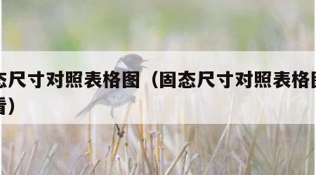 固态尺寸对照表格图（固态尺寸对照表格图怎么看）