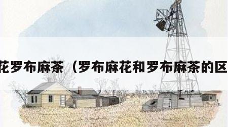 大花罗布麻茶（罗布麻花和罗布麻茶的区别）
