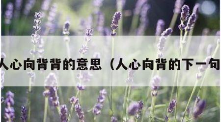 人心向背背的意思（人心向背的下一句）