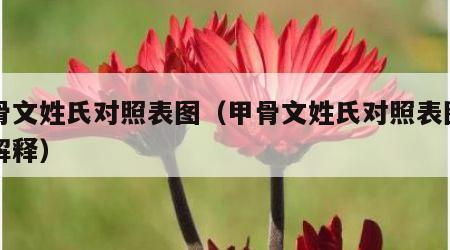 甲骨文姓氏对照表图(甲骨文姓氏对照表图片及解释)