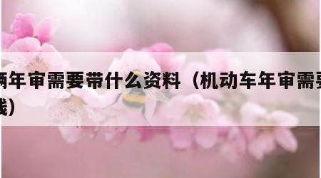 车辆年审需要带什么资料（机动车年审需要多少钱）
