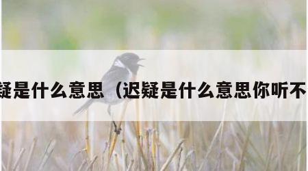 迟疑是什么意思（迟疑是什么意思你听不懂）