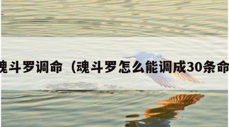 魂斗罗调命（魂斗罗怎么能调成30条命）