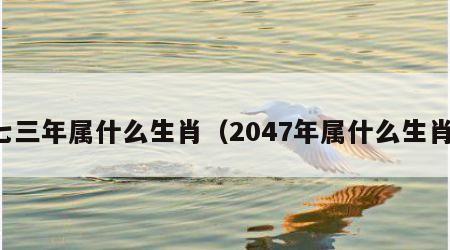 七三年属什么生肖（2047年属什么生肖）