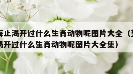 望梅止渴开过什么生肖动物呢图片大全（望梅止渴开过什么生肖动物呢图片大全集）