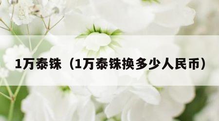 1万泰铢（1万泰铢换多少人民币）