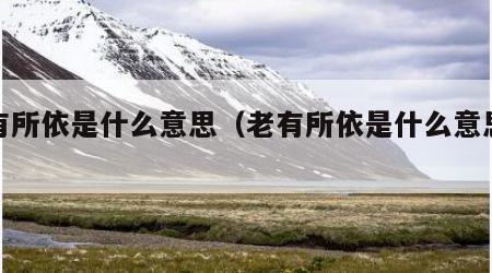 老有所依是什么意思（老有所依是什么意思解释）