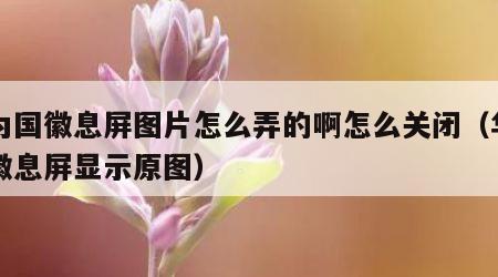 华为国徽息屏图片怎么弄的啊怎么关闭（华为国徽息屏显示原图）