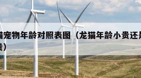 龙猫宠物年龄对照表图（龙猫年龄小贵还是大的贵）