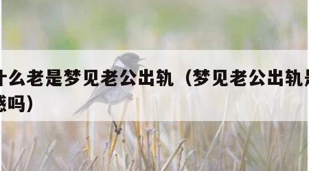 为什么老是梦见老公出轨（梦见老公出轨是第六感吗）