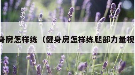 健身房怎样练（健身房怎样练腿部力量视频）