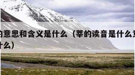 莘的意思和含义是什么（莘的读音是什么意思是什么）