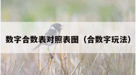 数字合数表对照表图（合数字玩法）