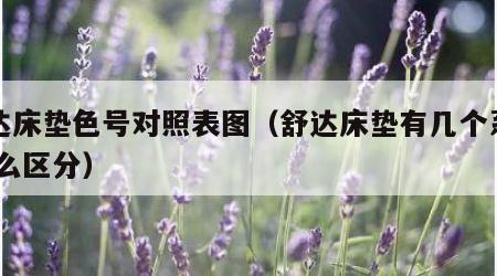 舒达床垫色号对照表图（舒达床垫有几个系列,怎么区分）