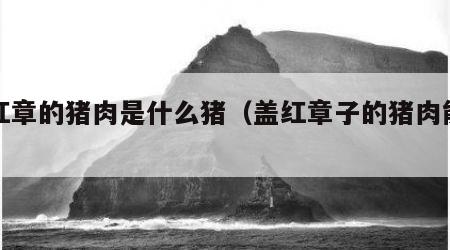 盖红章的猪肉是什么猪（盖红章子的猪肉能吃吗）