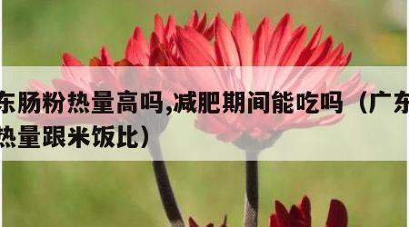 广东肠粉热量高吗,减肥期间能吃吗（广东肠粉热量跟米饭比）