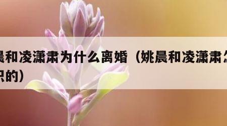 姚晨和凌潇肃为什么离婚（姚晨和凌潇肃怎么认识的）